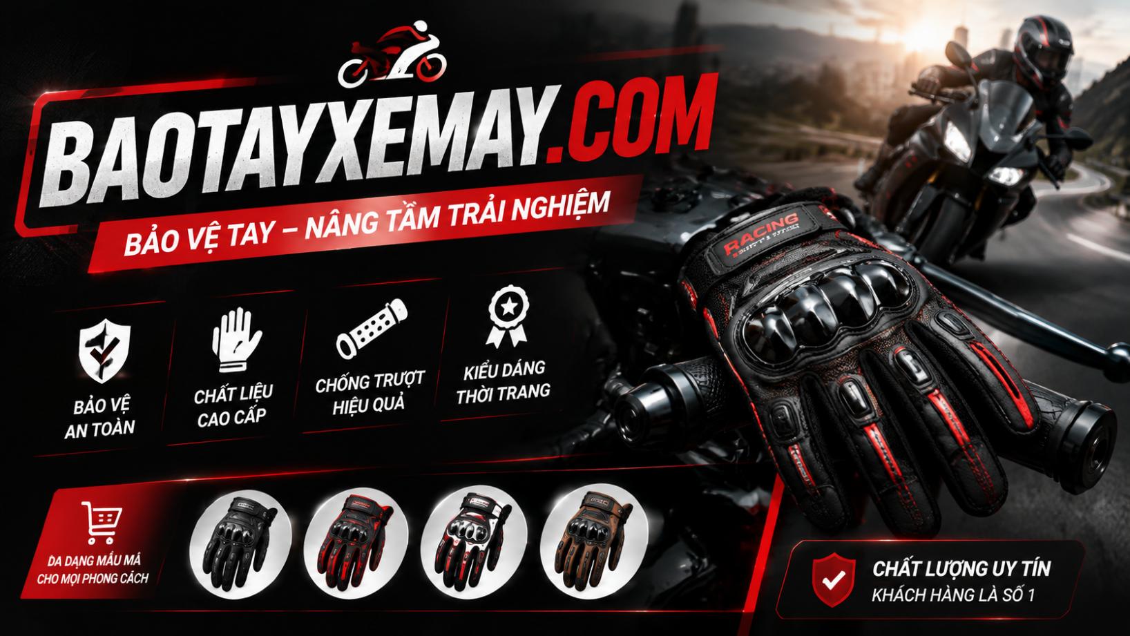 Baotayxemay.com