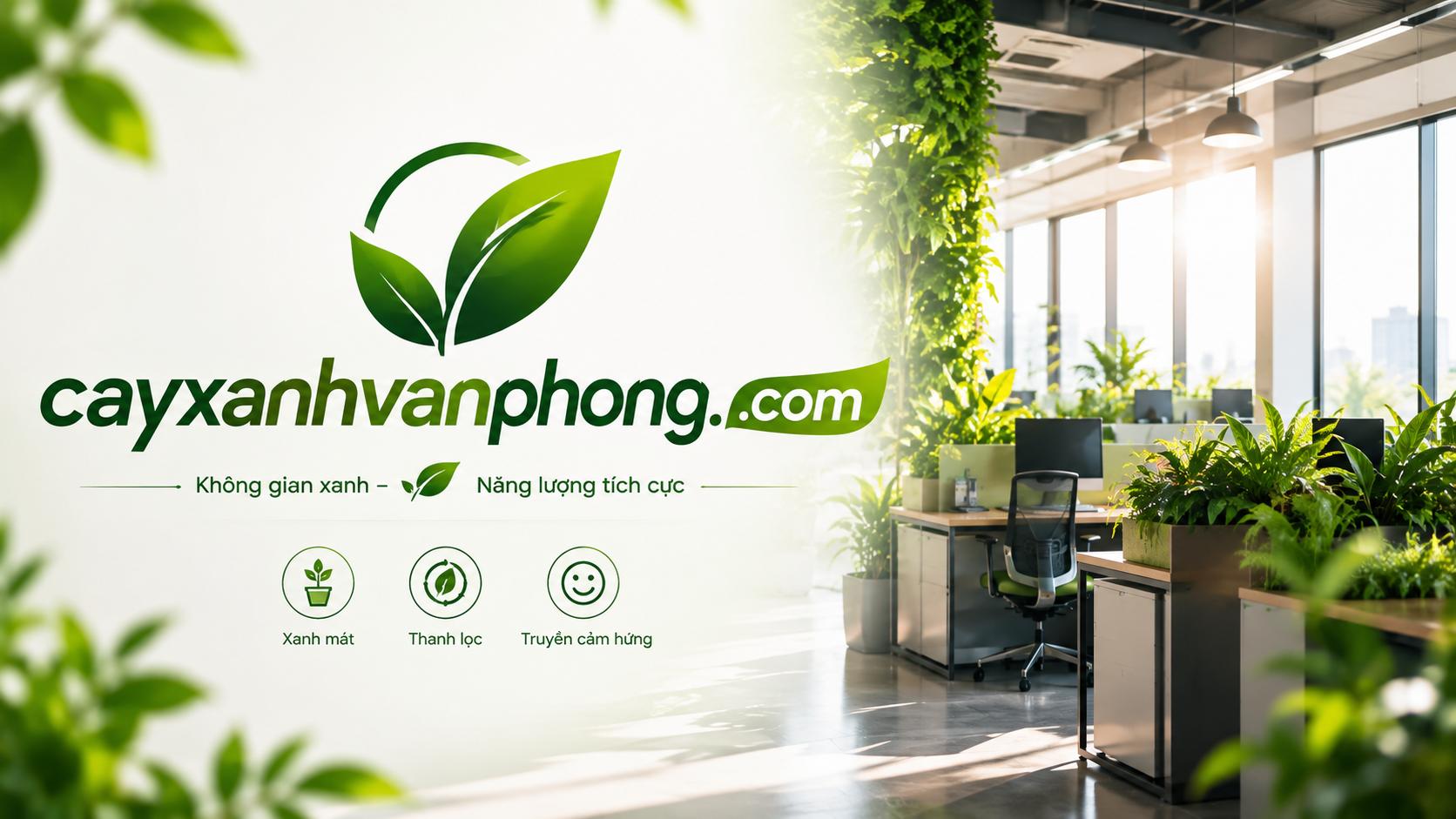 CayXanhVanPhong.com
