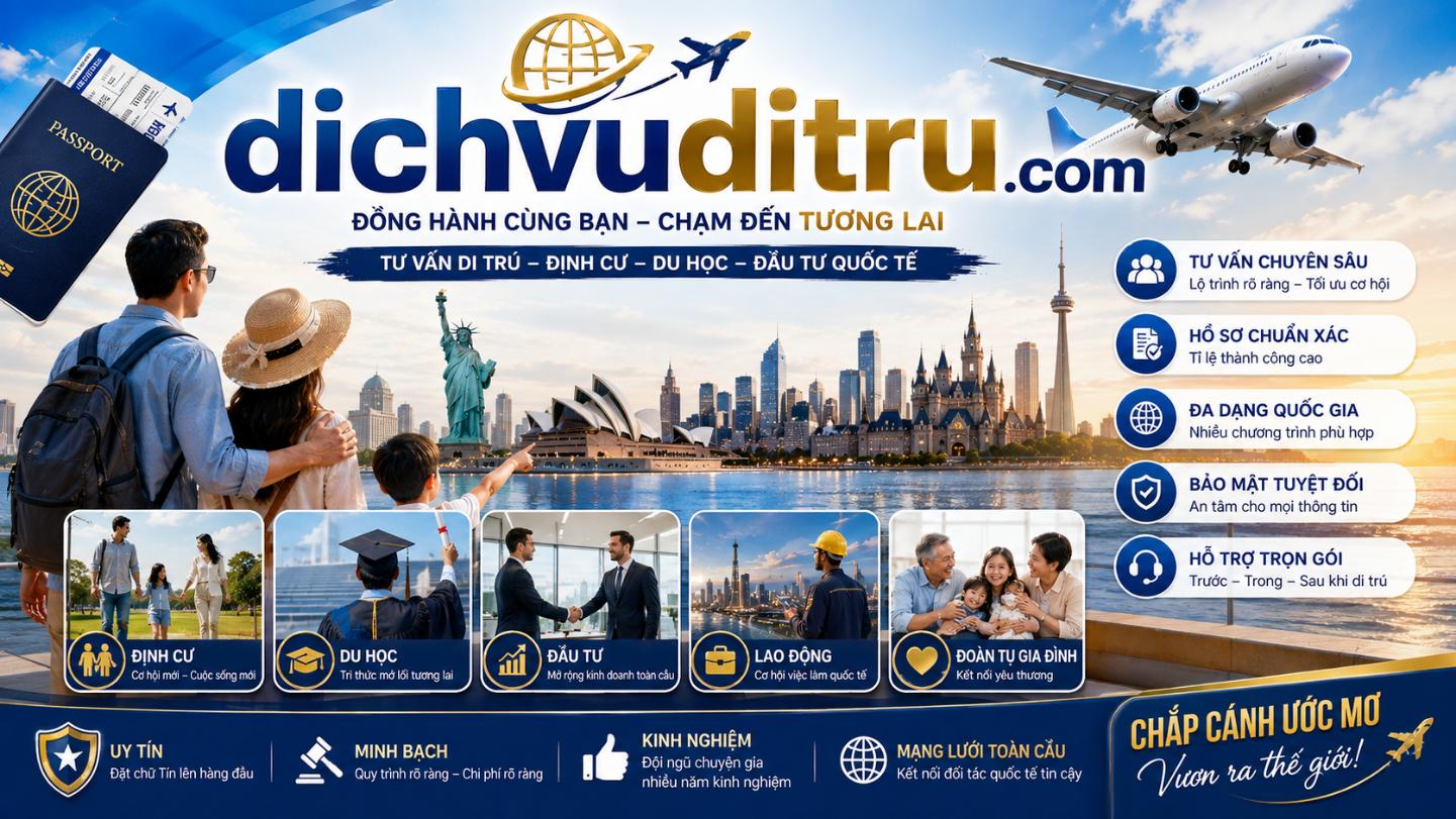 Dichvuditru.com