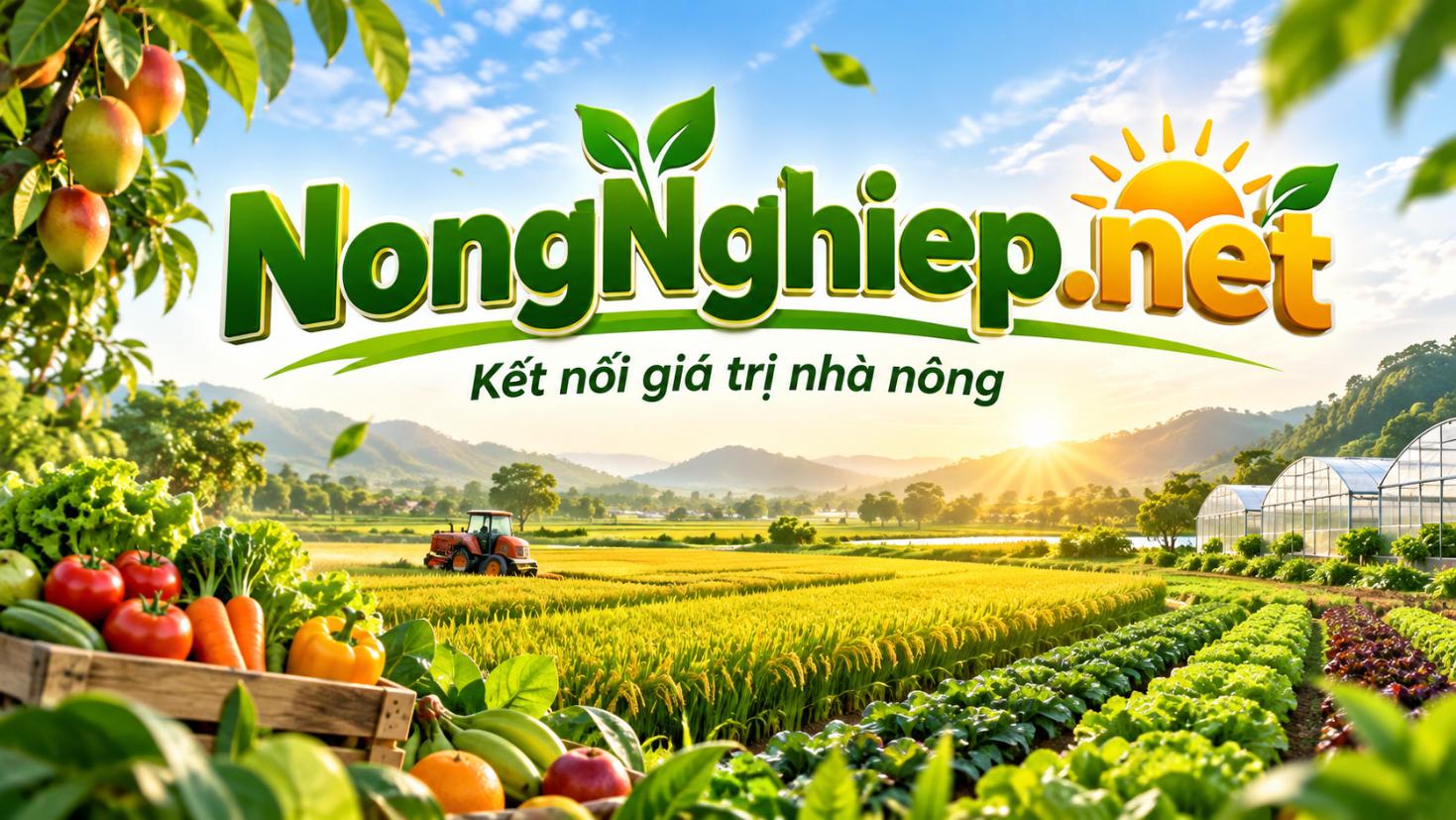Nongnghiep.net